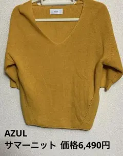 限界価格最終値下AZUL サマーニット Vネック