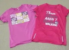 Lサイズ　PUMAレディースTシャツ2枚セット