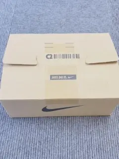 Nike Air Jordan 1 High OG 