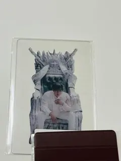 straykids giant ソニミュ特典 チャンビン クリアカード スキズ