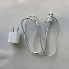 Apple USB電源アダプタとLightningケーブル