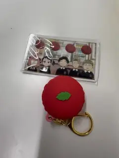 SPY×FAMILY　USJ　コレクタブルキーチェーン　マカロン