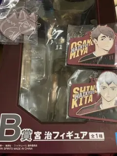 n*.様 ハイキュー 宮治