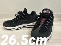 NIKE AIR MAX95コレクションmen'sシューズ【中古品】