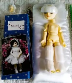 Item thumbnail for item a13880f9-877b-4592-8300-e57cb0f04def