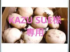 KAZU SUE様専用