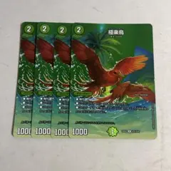 極楽鳥 4枚 - メルカリ
