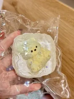 くまちゃん捏捏 海外限定♡ スクイーズ ( ˊᵕˋ )