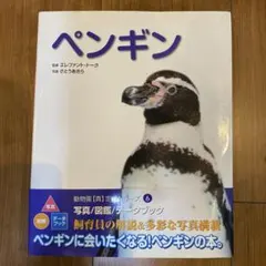 Item thumbnail for item 0e930bf6-241c-4e14-8a37-dea505011d67