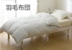 ニトリ N-sleep 羽毛布団 シングル ダウン80% 軽量 あったか掛け布団