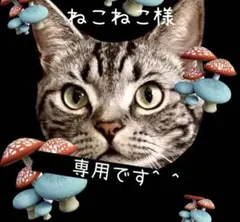 ねこねこ様 リクエスト 2点 まとめ商品