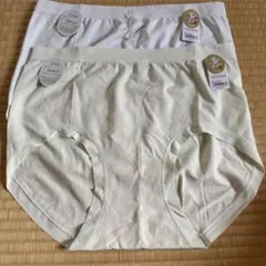 Item thumbnail for item c026dc43-14ae-4cc7-b823-c5b1dd248c17