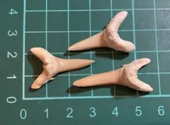 Item thumbnail for item f53f6c40-8b5b-4404-9ec0-eaf544b6e9a8