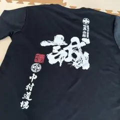 Item thumbnail for item 8a0ead74-834d-4322-bf65-1a0c0b5a5b32