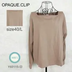 オペークドットクリップ トップス 長袖 カットソー プルオーバー サイズ40/L