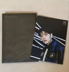 straykids スンミン エコパ ラントレ