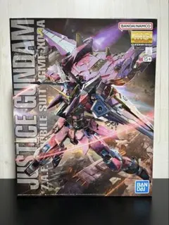 MG ジャスティスガンダム