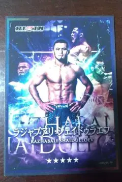 Item thumbnail for item e789ac92-d2dc-4fd5-8bfe-6fcef76df2f5