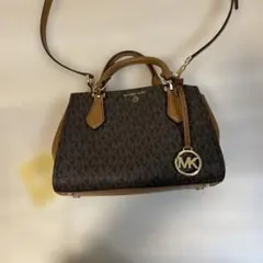 Item thumbnail for item 69bbb1b9-04d7-4c97-b2d4-23986cb28aba