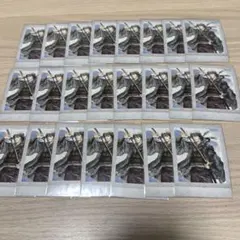 銀魂 桂小太郎 ぱしゃこれ 攘夷 其ノ壱