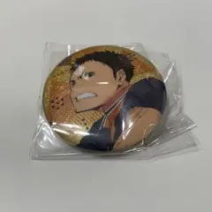 ハイキュー!! ラメキラ缶バッジコレクション3 澤村大地