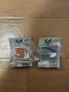 ポケモン 30周年記念メタルチャーム　ヒトカゲ　フシギバナ