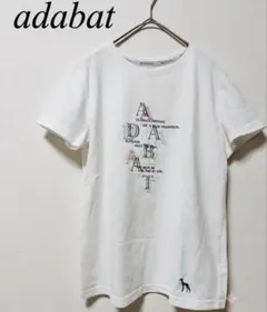 美品 アダバット ファイテン コラボ ロゴTシャツ 半袖 白 38のサムネイル
