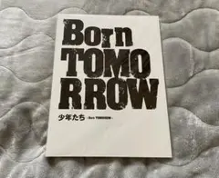 少年たち　パンフレット