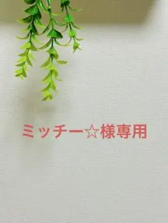 ミッチー★様 リクエスト 3点 まとめ商品