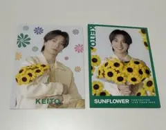 木村慧人 フォトカード シクレ セット