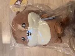 2026年最新】ナガノ くじの人気アイテム - メルカリ