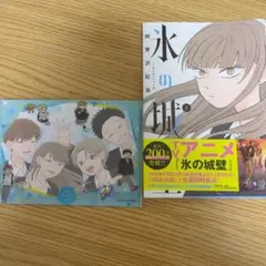 氷の城壁 1