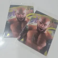 RIZIN ウエハースカード フアン・アーチュレッタ