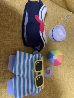 BTS bt21 たっとんS用コスチューム　スイムウェア