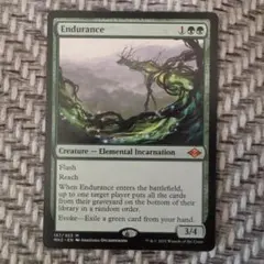 忍耐/Endurance