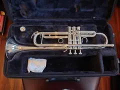 2026年最新】ytr-4335gsの人気アイテム - メルカリ