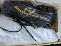 Kiko Kostadinov × Asics Gel-Quantum 29cm