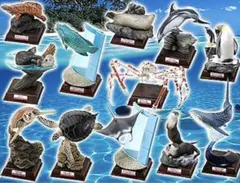 2026年最新】海遊館 タカアシガニの人気アイテム - メルカリ