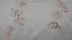 Item thumbnail for item bc492551-8b59-4b63-a05e-d0d5888f019a