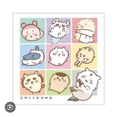 Item thumbnail for item dd593400-ac24-4c83-b8dc-1afd2848bcb6