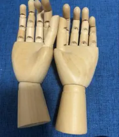 廃盤】HAY ヘイ Wooden Hand M オブジェ ハンドトルソー 木製 - メルカリ