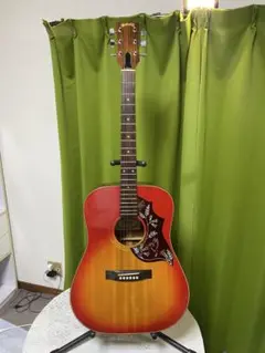 カントリーしようぜ！ハミングバード　エレアコ　音出し良好！アコギもＯＫ 弾き語りしようぜ！ZenOn Roje ハミングバード エレアコ 音出