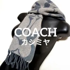 dt10 COACH シグネチャー マフラー カシミヤ×ウール