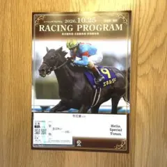 JRA 菊花賞 ロブチェン 京都競馬場 現地馬券 レーシングプログラム セット