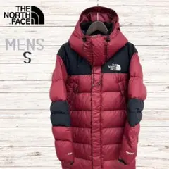 THE NORTH FACE WINDSTOPPER ロングダウン 800