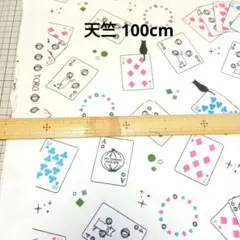 Item thumbnail for item 51c0e9c7-18d2-4eff-a2bd-95369ec99165