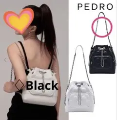 PEDRO 希少!日本未入荷ショルダーバッグ