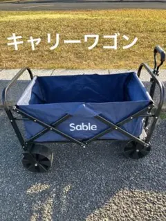 【値下げ】キャリーワゴン　アウトドア　積載量100-120キロ　折りたたみ収納可