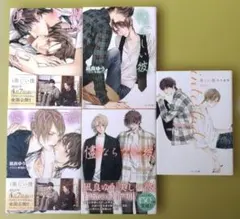 美しい彼(1)〜(4)・番外編 計5冊セット