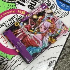 ワンピースマガジン vol.17 プロモ P-046 ヤマト付き 2冊